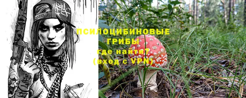 Псилоцибиновые грибы Psilocybine cubensis  omg зеркало  Мариинск 